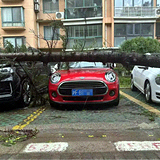 ������λ��翸������