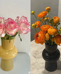 9.9��©��ins�绨ƿ���������ÿ�