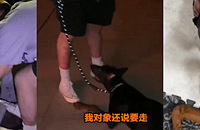 �����ӳ����ַ��֣��ʹ��Ӹ�˭����ת�������˺���