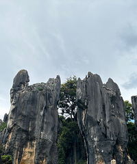 [��ˣ]��ʯ�֡��ϴ󼯡���¿���⣬����ȫ�겻�ȣ���۳��ͣ�