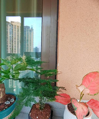 93160CMؽʦ飬ϣԷ90