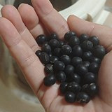 喝黑豆水能治口腔溃疡