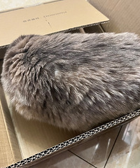 è��ϴ��һ�����£��ֱ����ë�ˣ��ǲ��������˰�