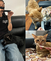 �칫������3����ͬ�£���������ѩ��