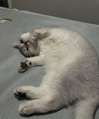 è�ر�ϲ������Ƥ˯����ɶ�ӽ�����