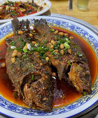 ������������ʳ�Ե���