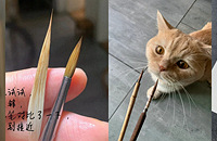 ����èë���ô����ռ�������ë�ʣ���ˮ�ʻ��ܺ���