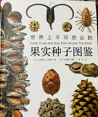 �Ȿ����ʵ����ͼ�����������������˸���ֲ��֪ʶ