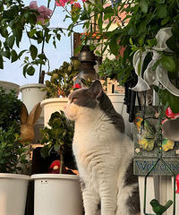 ������è���������˲����ˣ���֪���Լ�����������