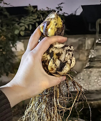 �ڰٺ�������������һ����������һ��