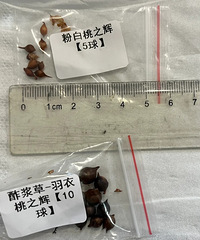 ������ý������ӣ��ߴ�̫mini��������˼����