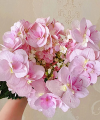 �����µ���ϵ���򻨣���Ȼ����ͨ�Ĳ�һ��