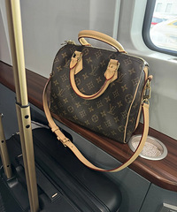 入手LV speedy,出差好用胜过爱马仕