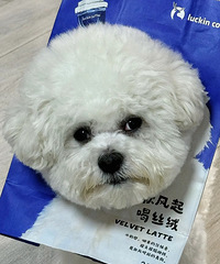 ���ǵ�����˿���������������������˿���޹�