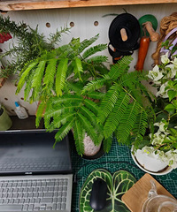 �����ˣ����ڿ�������̨����