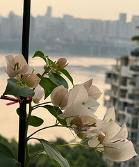 ��˵�����������������ã�����������ĵ�����÷����