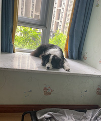 93173CM20Ĺʦ飬ϣԷ90