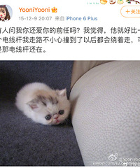 宁泽涛前女友晒10年前合照