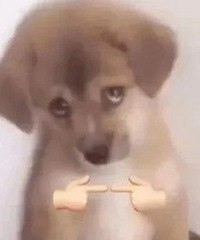 [��Ц]�����ƾ���Բ�ֺ�ǰ�򶩻飬��Ϊ���ݣ�һ������������