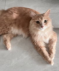 3�����èͬ�������ˣ��ؼҵ�һ���¾�����Ȫ��ԡ