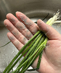 ������Ĵ�ȫ����ɫ���������ܳ���û�˹ܹ���