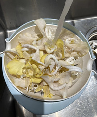 ��ȥ�漸�죬��ͷĢ���賤�������Ͻ�ժ��һ�̳���