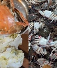 ������100��4�������з����������