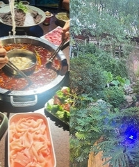 第一次打卡南山巴倒烫火锅,说说吃后感