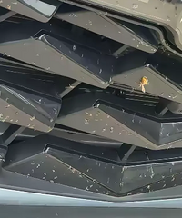 �ֵ��ǣ���ҹ����ô���ܶž�ǰ��դײ����������