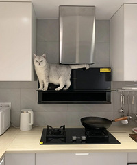 家里养猫的看过来,这种油烟机真不能买