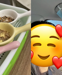 年轻人提前退休的第一步:养鸟