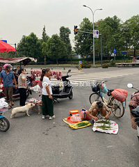 �������ԣ��ɶ������ܱ���״