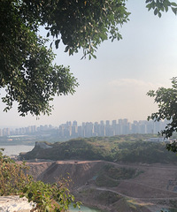 �²�������