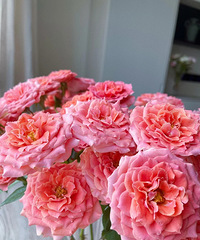 �����̫�ʺ����ˣ�õ��������������ܿ�2��