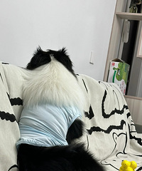 �����ô��Ƣ����͵����ʳ˵������������������