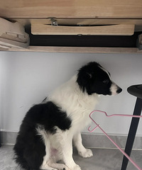 [�ȳ�]�����ô��Ƣ����͵����ʳ������������һֱ������������