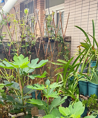 ��ѹǤ����6���޻�����ȫ���ɹ����ҹ���