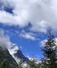 91165CMҵĽţְ飬ϣԷ