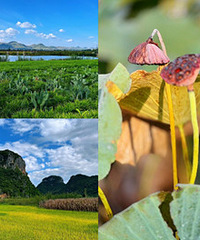 ��������ߺ�Ҳ����������ȥ����