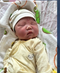 ��ͷ��̥�ǡ���״ͷ�����޳�ñ�Ҫ�������Ӽ�����