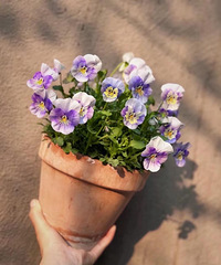 �����ˣ����ֽ����ˣ����ٵ���������һ��