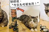 �¸ҷ���ϲ��һ�Ƚ�����һ���²��ǳԹ޹ޣ��ǳ�ҩ