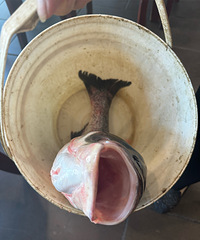 �������΢�е�Զ���������ݷ�����