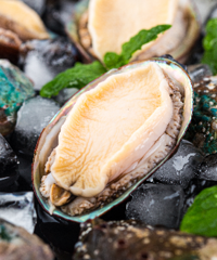 �ﶬ��һ�� ���������