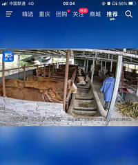 ����һ��һ�����������