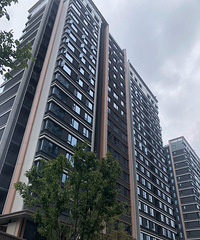 ���ղ���֮ӡ�������ϱ��ǹ��