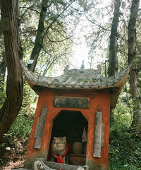 ���й���̷��ר�Ÿ�èè�޵�̷è��