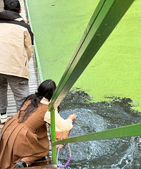 ������ȥˣ�����Ѻ��渡Ƽ���ɲ�ƺ��������