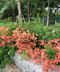 ������������������壬��ÿ���