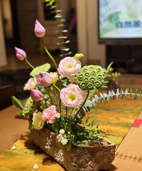 33�굥��������
